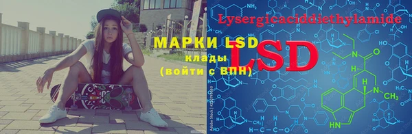 прущие грибы Медвежьегорск