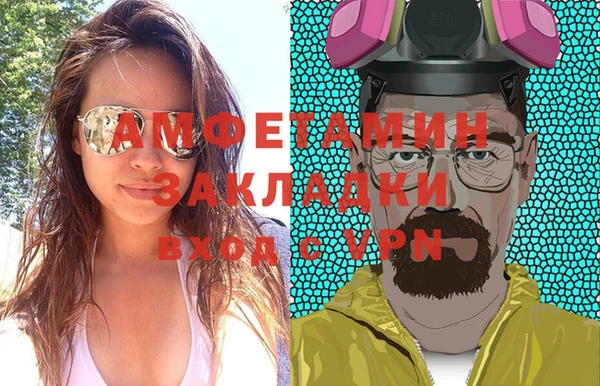 индика Мегион