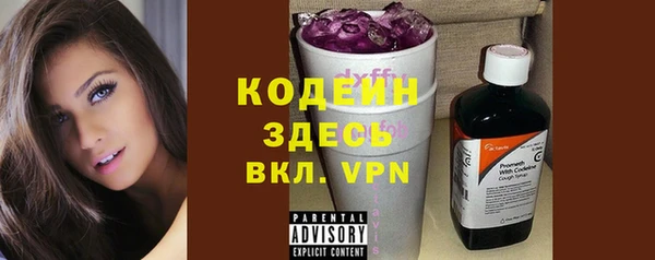 индика Мегион