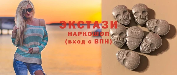 индика Мегион