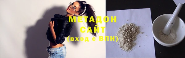 прущие грибы Медвежьегорск