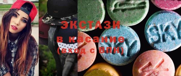 индика Мегион