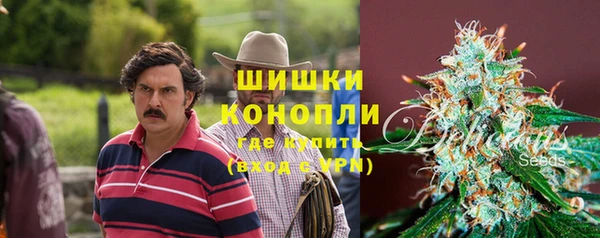 эйфоретик Майский