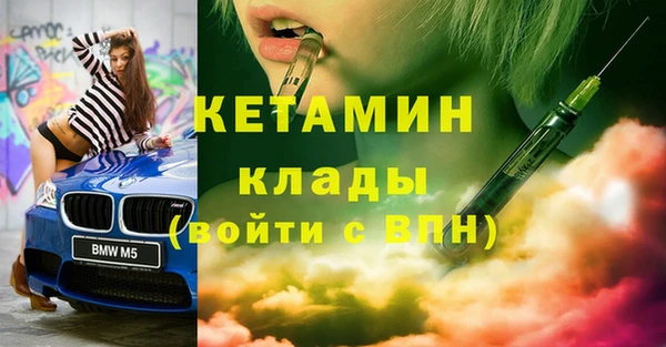 индика Мегион