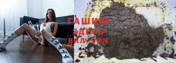 индика Мегион