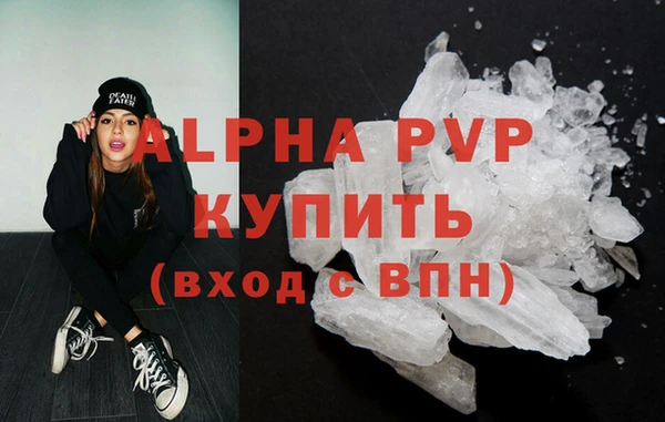 прущие грибы Медвежьегорск