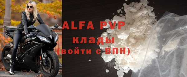 прущие грибы Медвежьегорск