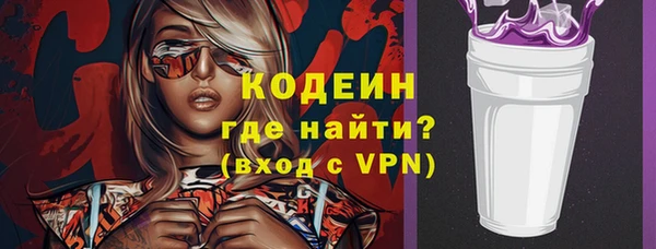 индика Мегион