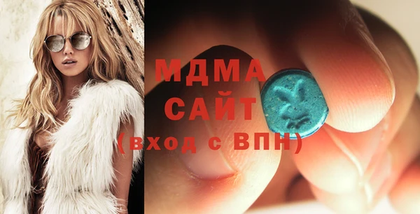 индика Мегион