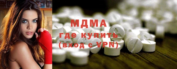 индика Мегион