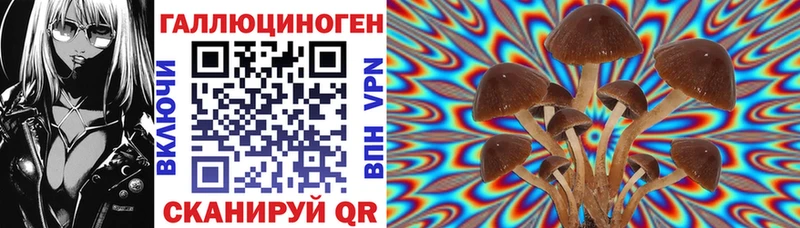 mega зеркало  Кингисепп  Псилоцибиновые грибы MAGIC MUSHROOMS 