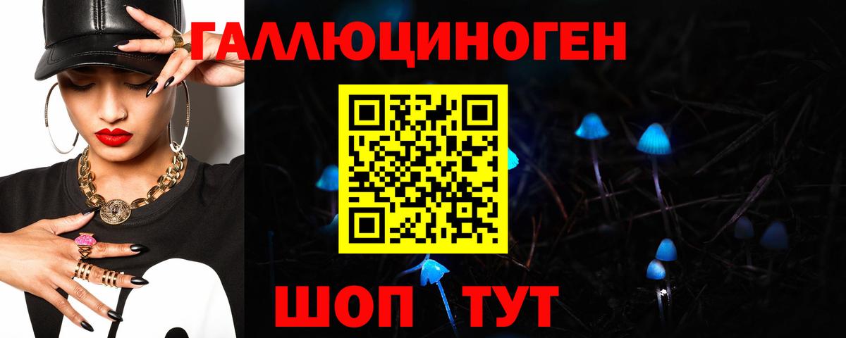 Галлюциногенные грибы прущие грибы Кингисепп